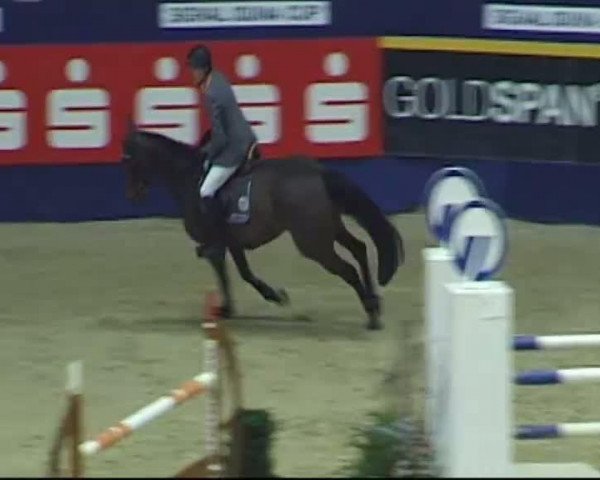 Video of Toulouse 66