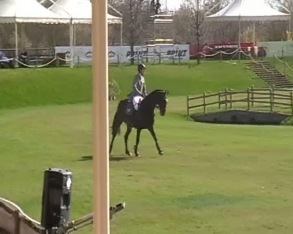 Video of Satisfaction FRH