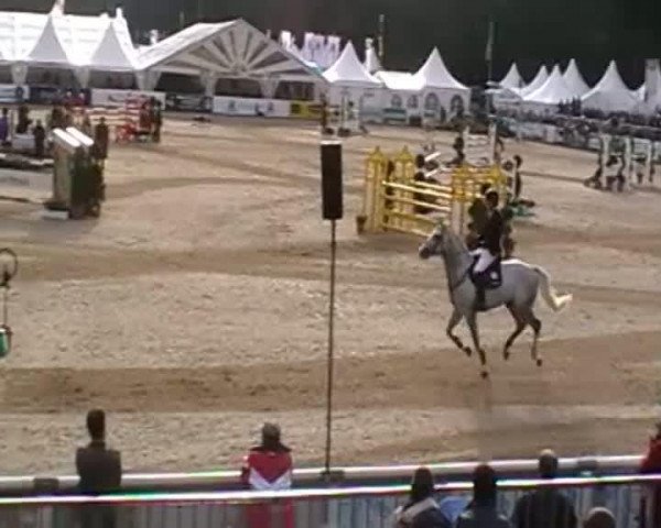 Video of Cristallo I