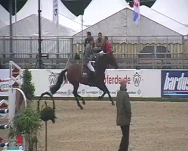 Video of Carmello
