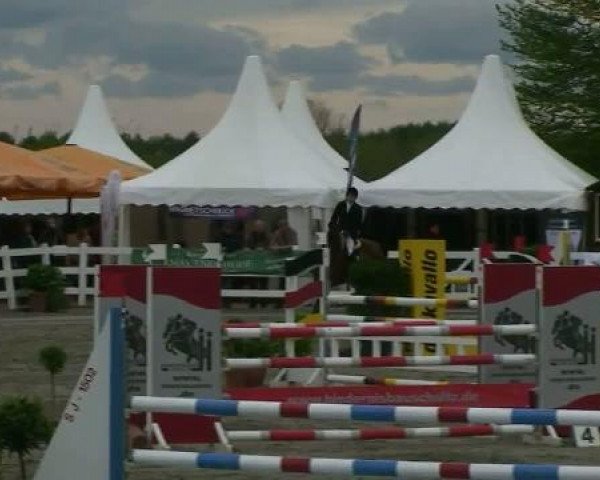 Unna-Massen 2012
Donnerstag, den 26.04.2012
53 Springpferdeprüfung Kl.M*
