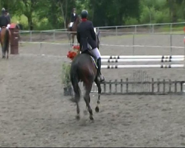 Isny-Rohrdorf 2011
Freitag, den 27.05.2011
06.2. Springprüfung Kl.L
