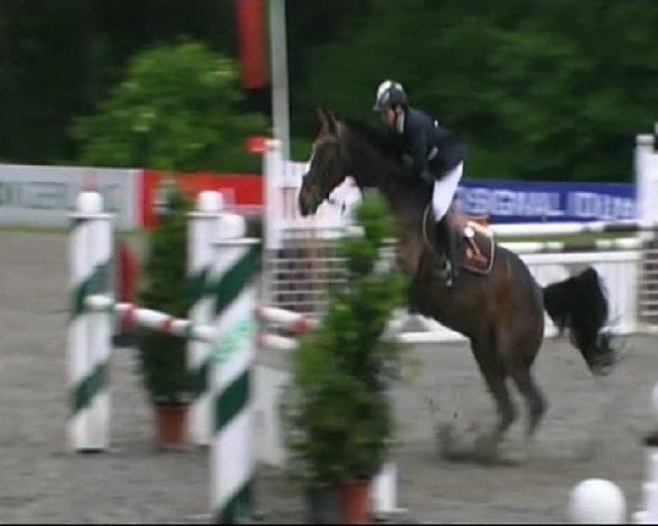 Isny-Rohrdorf 2011
Freitag, den 27.05.2011
06.1. Springprüfung Kl.L
