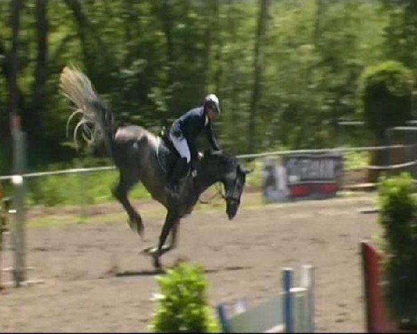 Isny-Rohrdorf 2011
Sonntag, den 29.05.2011
08 Springpferdeprüfung Kl.M*
