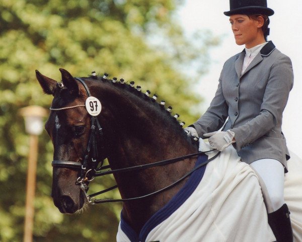 Dressurpferd Charly Brown 87 (Hessisches Warmblut, 1994, von Corelli)