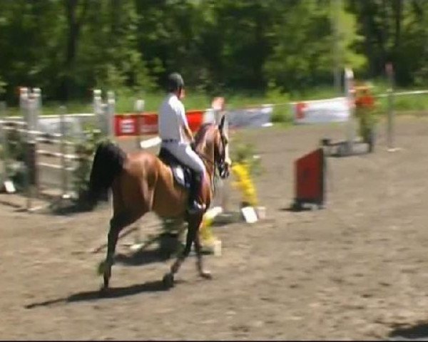 Isny-Rohrdorf 2011
Sonntag, den 29.05.2011
01 Springprfg.Kl.S m.St.*