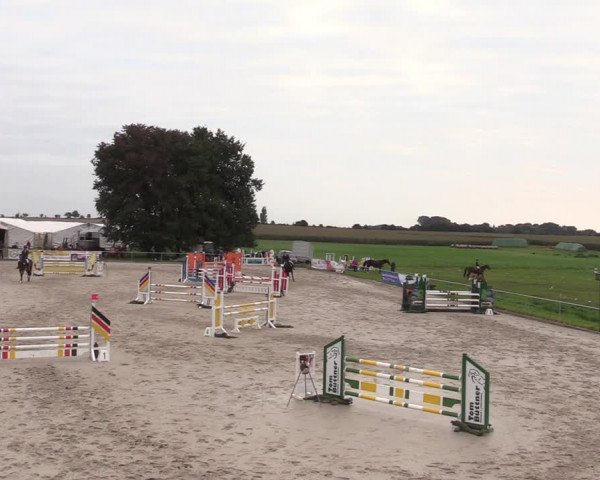 Springreitturnier Hohburg 2021