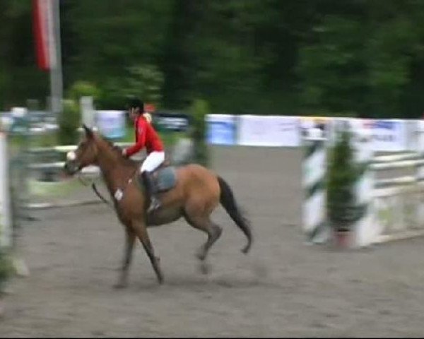 Isny-Rohrdorf 2011
Samstag, den 28.05.2011
04.2. Springprüfung Kl.M*
