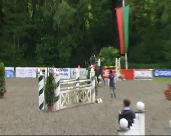 Isny-Rohrdorf 2011
Samstag, den 28.05.2011
04.2. Springprüfung Kl.M*