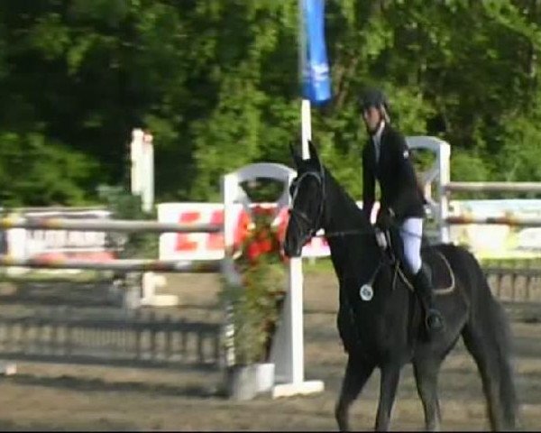 Isny-Rohrdorf 2011
Samstag, den 28.05.2011
 12.3. Stilspringprüfung Kl.L
