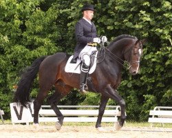 jumper Carl der Große Z (Zangersheide riding horse, 2002, from Conteur)