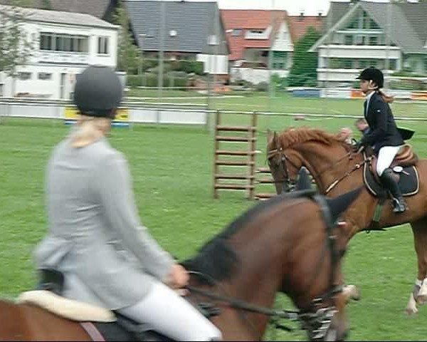 Video von Graf Borgotti