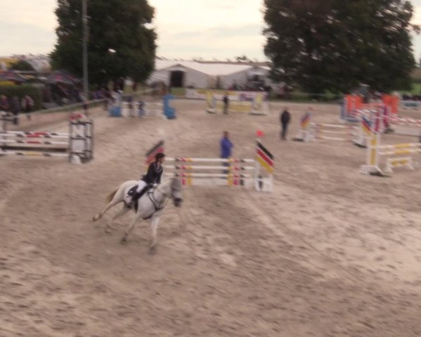 Springreitturnier Hohburg 2021