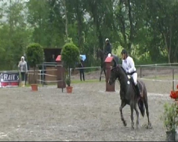 Isny-Rohrdorf 2011
Freitag, den 27.05.2011
03 Springprüfung Kl.M**
