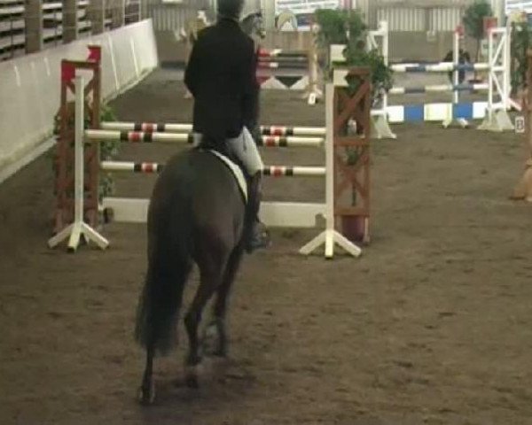 Emmendingen 2011
Sonntag, den 27.03.2011
08.2. Springprüfung Kl.L
