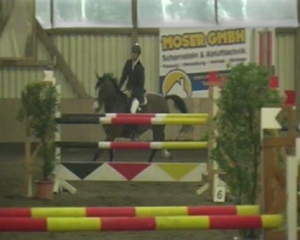 Emmendingen 2011
Freitag, den 25.03.2011
03 Springprüfung Kl.M*
