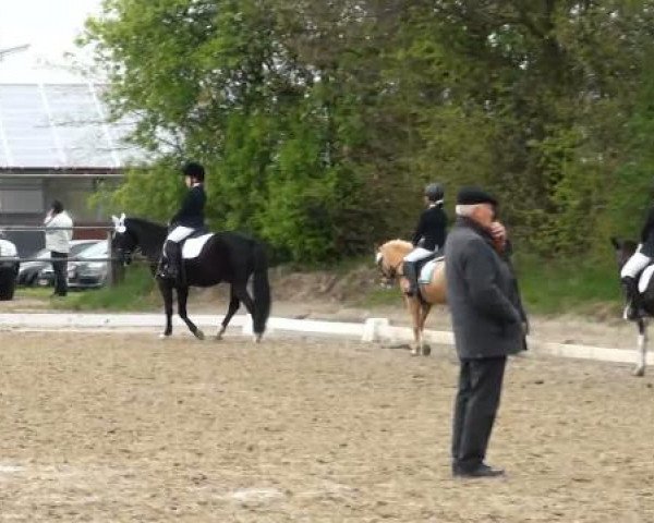 Frühjahrsturnier Gahlen 2012
Sonntag, den 15.04.2012
01 Reiter-WB
2.Abteilung

