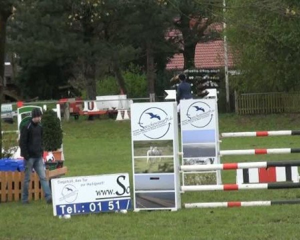 Frühjahrsturnier Gahlen 2012
Sonntag, den 15.04.2012
14 Springpferdeprüfung Kl.L
