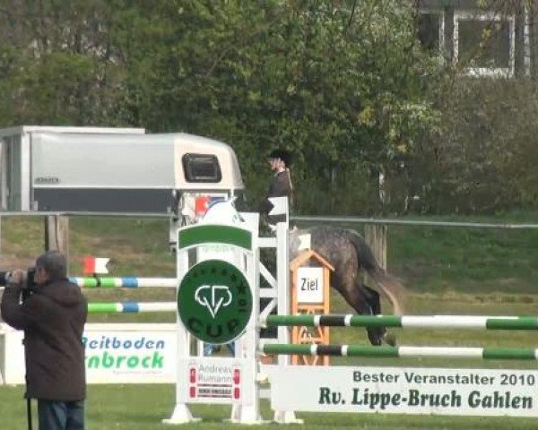 Frühjahrsturnier Gahlen 2012
Samstag, den 14.04.2012
20 Mannsch.-Springprfg.Kl.A** mit 1 Umlauf
