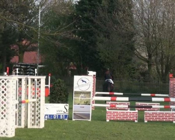 Frühjahrsturnier Gahlen 2012
Samstag, den 14.04.2012
20 Mannsch.-Springprfg.Kl.A** mit 1 Umlauf
