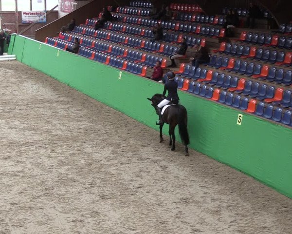 Krumke Hallenturnier mit KM 2021
