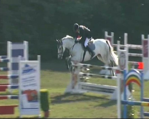 Schwaigern 2011
Sonntag, den 15.05.2011
15 Springprüfung Kl.L
