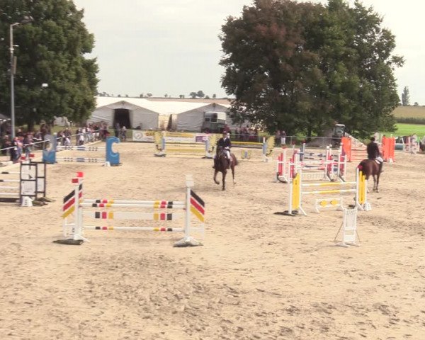 Springreitturnier Hohburg 2021