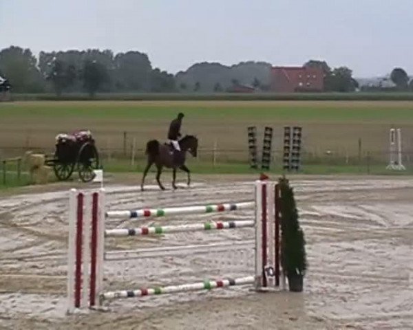 Video of Carmello