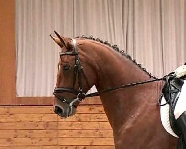 Video of Seabiscuit 5