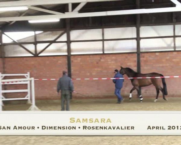 Video von Samsara