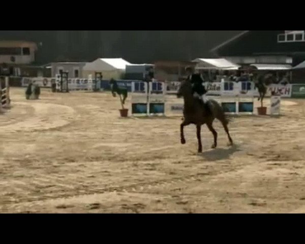 Video of Little Lina