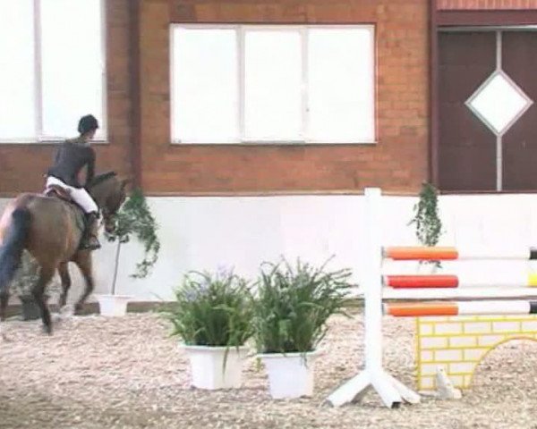 Video de Rahmannshof's Baccara