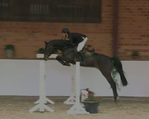 Video of Cascorada