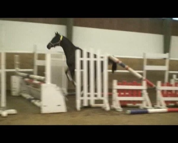 Video von Aparte