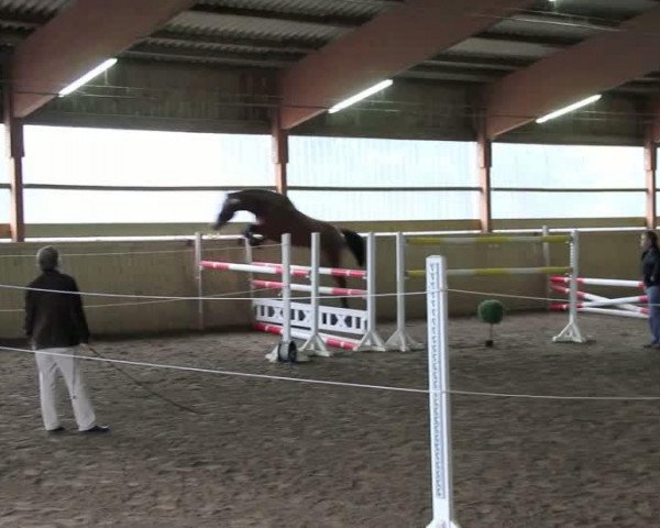Video of Crimpack's Carlot R
