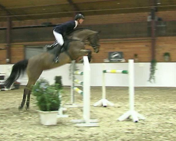Video of Cassidy