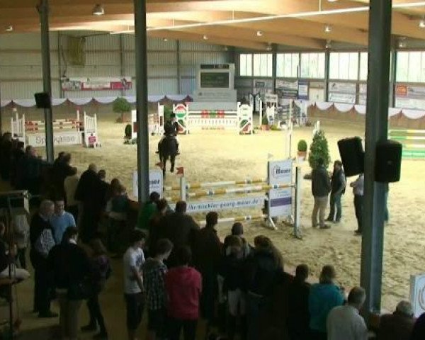Hallenturnier Goch 2012
Sonntag, den 25.03.2012
21 Springprüfung Kl.S* Junge-Pferde-Prüfung