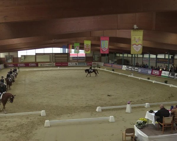 Steinhagen Classics 2021