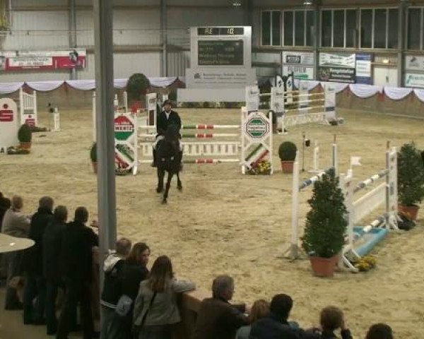 Hallenturnier Goch 2012
Samstag, den 24.03.2012
16 Springprfg.Kl.S m.St.*
