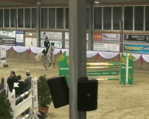 Hallenturnier Goch 2012
Samstag, den 24.03.2012
16 Springprfg.Kl.S m.St.*