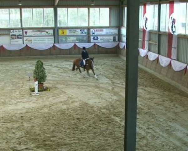 Hallenturnier Goch 2012
Samstag, den 24.03.2012
14 Spring Pony-Reiter WB