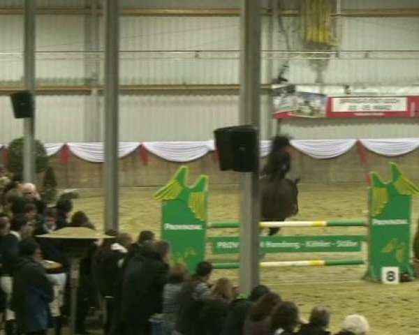 Hallenturnier Goch 2012
Samstag, den 24.03.2012
15 Springprüfung Kl.S*