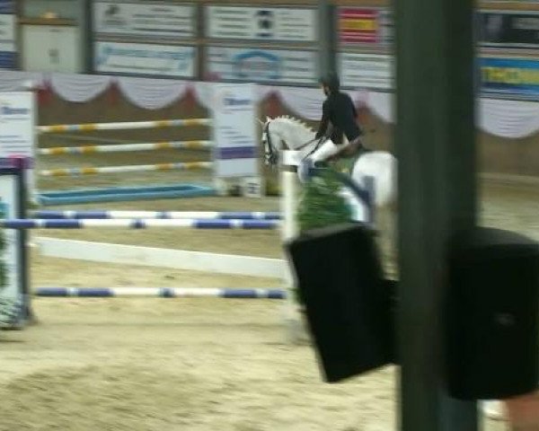 Hallenturnier Goch 2012
Samstag, den 24.03.2012
13.2 Springprüfung Kl.M*