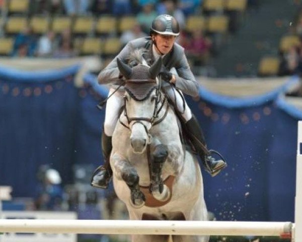 Springpferd Crespo PKZ (Westfale, 2006, von Cornet Obolensky)