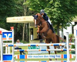 jumper Argentinia Fbh (Oldenburg, 2007, from Argentinus)
