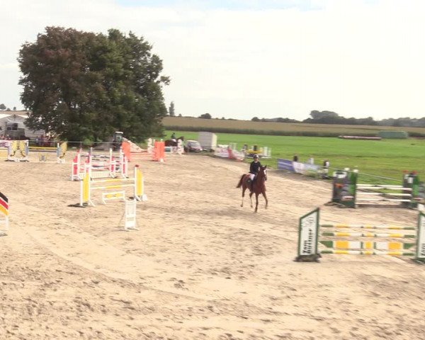 Springreitturnier Hohburg 2021