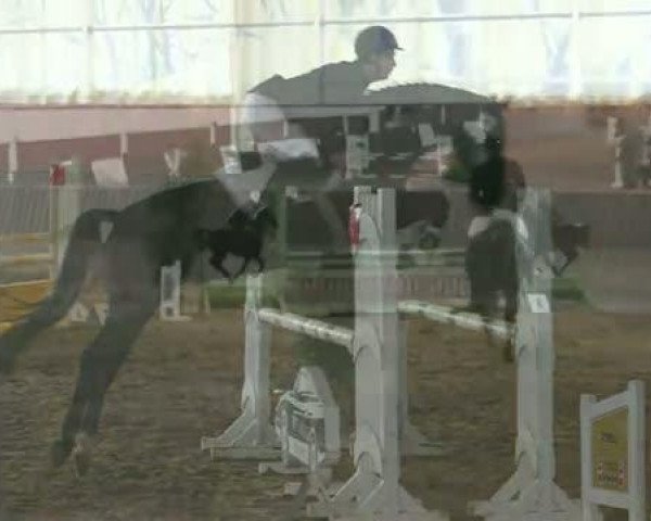 Video of Embargo 4