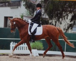 Dressurpferd Beat Girl (Westfale, 2008, von Harmony's Baroncelli)