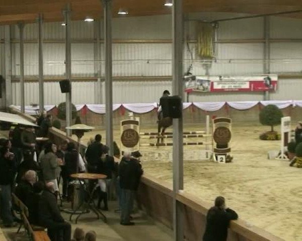 Hallenturnier Goch 2012
Donnerstag, den 22.03.2012
04 Springprfg.Kl.L m.St.
