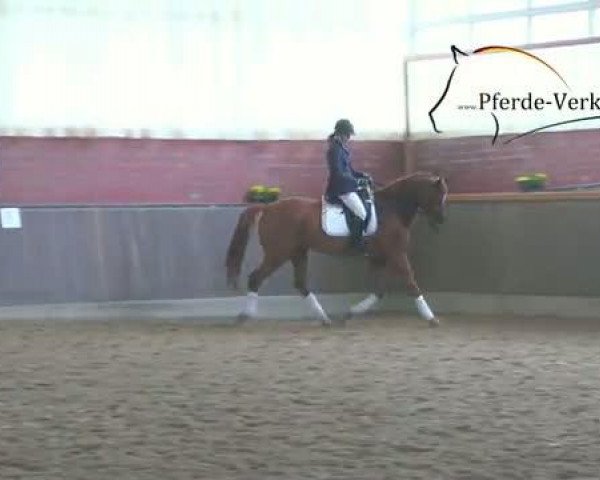 Video of Belldandy